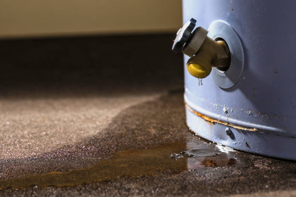 Best Carpet water damage restoration  in Liolnton, NC