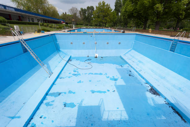 Best Basement water damage restoration  in Liolnton, NC