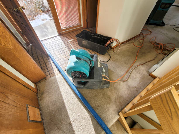Best Residential water damage restoration  in Liolnton, NC