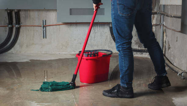 Best 24/7 water damage repair  in Liolnton, NC