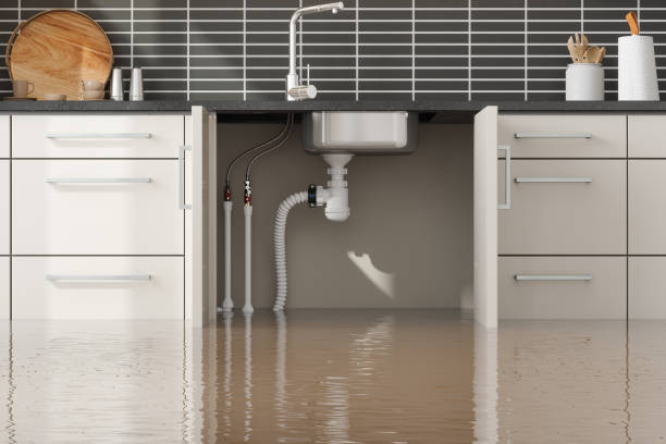 Best Sewage cleanup and water damage restoration  in Liolnton, NC