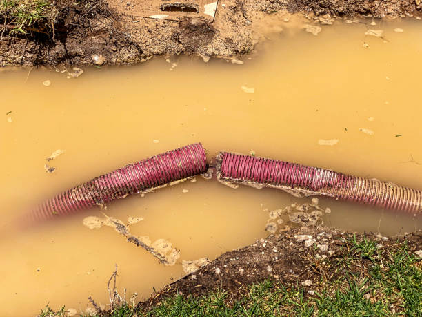 Best Water damage cleanup near me  in Liolnton, NC