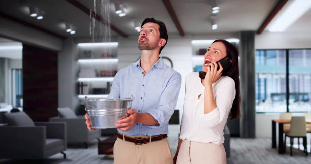 Best Water damage contractors near me  in Liolnton, NC